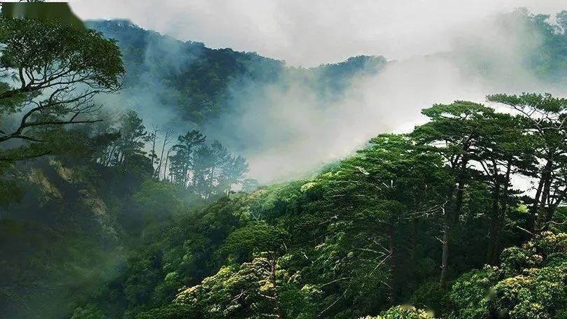 雨天旅行